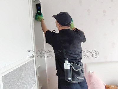 守護南城家園 專業(yè)白蟻防治服務，構筑安全防線