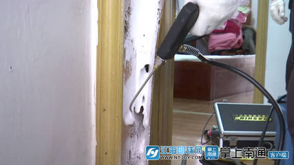 白蟻分飛高峰將至，南通應用新技術提升防治服務水平